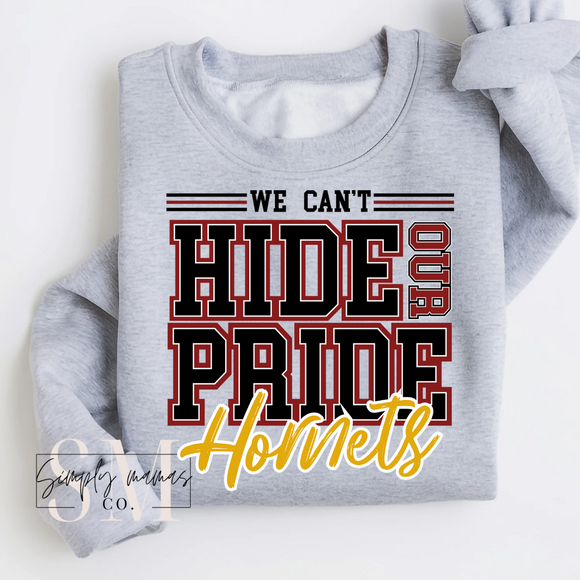 Can't Hide Our Pride (Hornets)-Youth