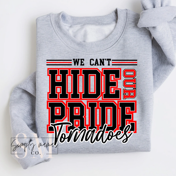 We Can't Hide Our Pride (Tornadoes)